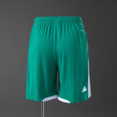 Northern Ireland 2026 Home Shorts S-XXL